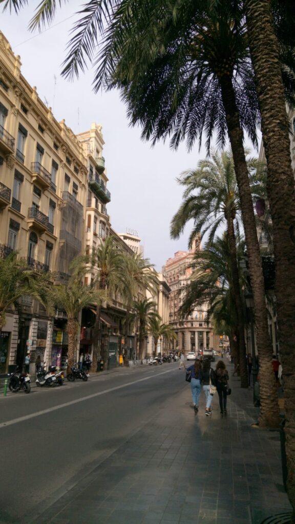 valencia, palm tree, street